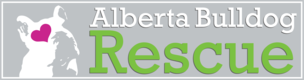 alberta bulldog rescue