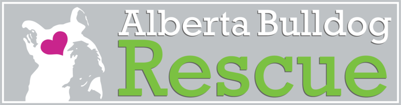 alberta bulldog rescue